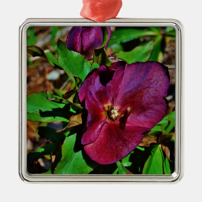 Burgundy Pink Lenten Rose Metal Tree Decoration (Front)