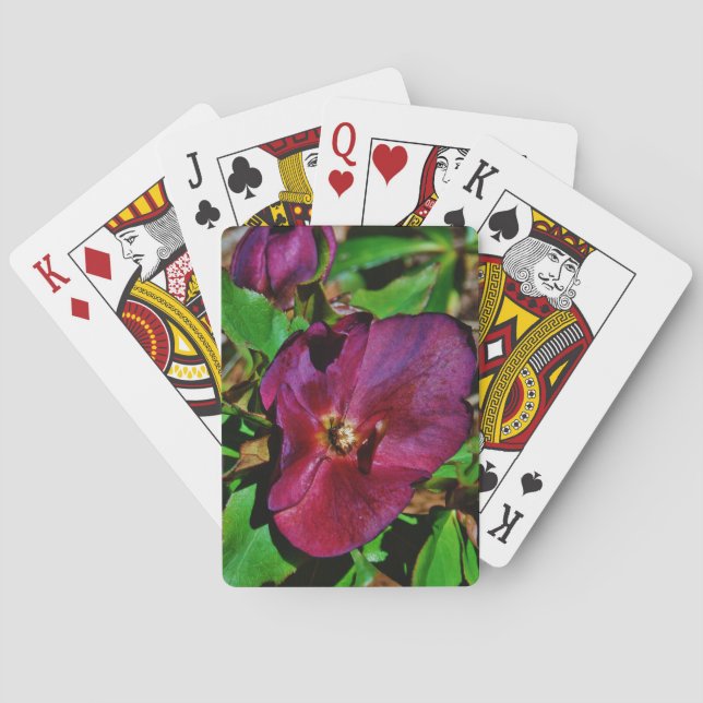 Burgundy Pink Lenten Rose Playing Cards (Back)