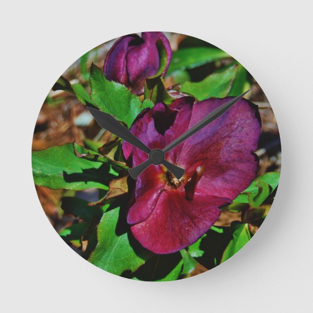 Burgundy Pink Lenten Rose Round Clock (Front)