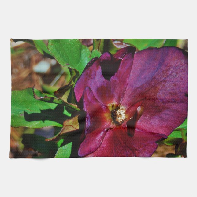 Burgundy Pink Lenten Rose Tea Towel (Horizontal)