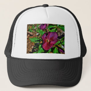 Burgundy Pink Lenten Rose Trucker Hat