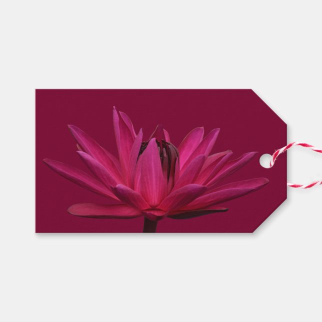 Burgundy Pink Water Lily Gift Tags (Front (Horizontal))