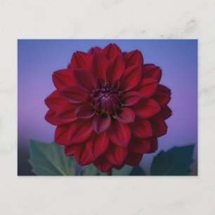 Burgundy Red Dahlia Flower Elegant Postcard