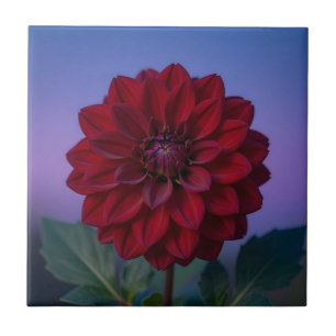Burgundy Red Dahlia Flower Elegant Tile