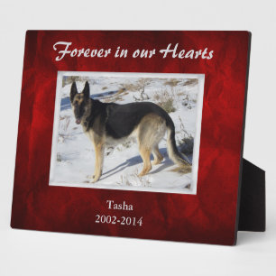 Burgundy Red Silver Pet Memorial Template Plaque