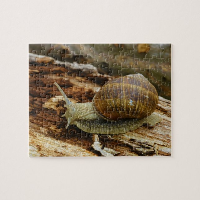 Burgundy Roman Edible Snail Helix Pomatia Jigsaw Puzzle (Horizontal)