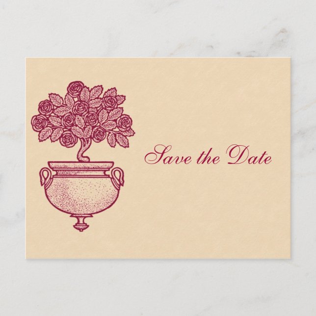 Burgundy Rosebush on Cream Save the Date Postcard (Front)
