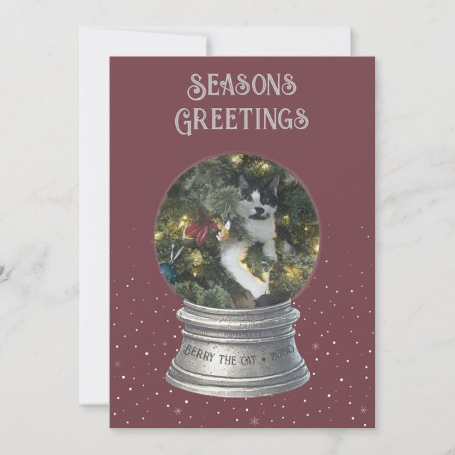 Burgundy Snow Globe Photo Flat Holiday Card (Front)