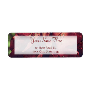 Burgundy Velvet Wet Rose Watercolor