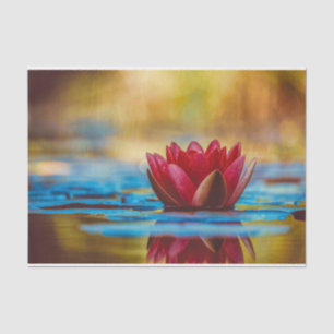 Burgundy Water Lily Tissue Paper