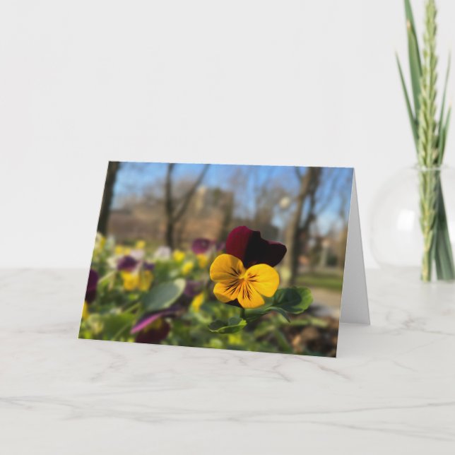 Burgundy yellow pansy card (Front)