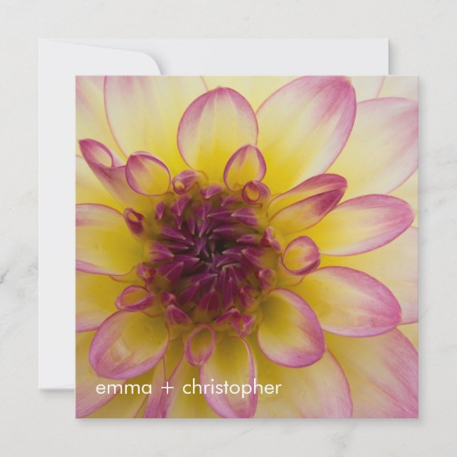 Burgundy, Yellow & White Dahlia Save The Date (Front)