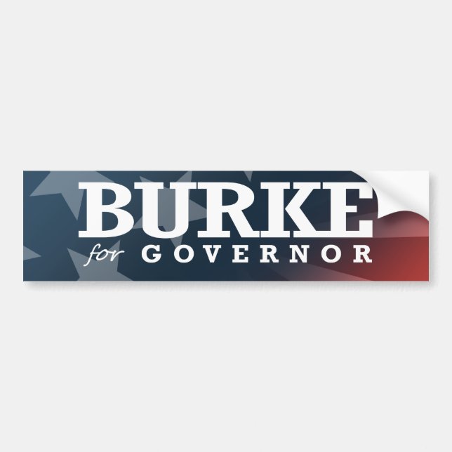 BURKE FOR GOVERNOR 2014 BUMPER STICKER (Front)