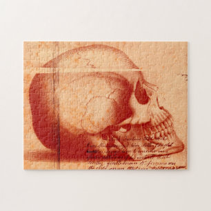 Burke & Hare skull head puzzle