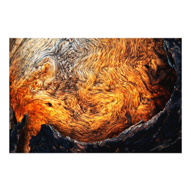 Burl wood photo print (Front)
