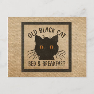 Burlap Old Black Cat Bed Breakfast Postcard
