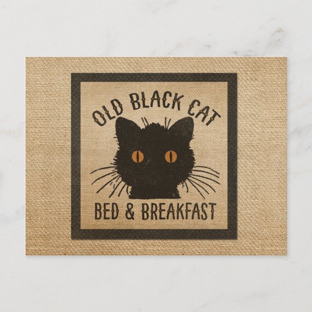 Burlap Old Black Cat Bed Breakfast Postcard (Front)