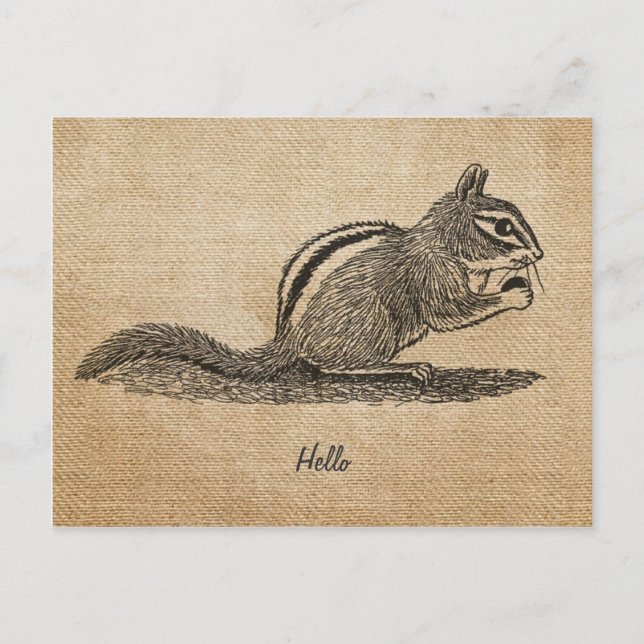 Burlap Vintage hello Chipmunk  Postcard (Front)