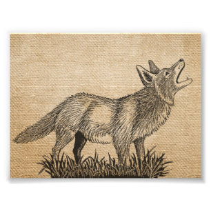 Burlap Vintage Howling Wolf 7" x 5", Photo Print