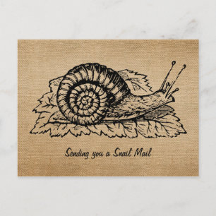 Burlap Vintage Sending Snail Mail Postcard