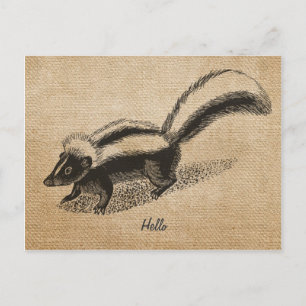 Burlap Vintage Skunk Postcard