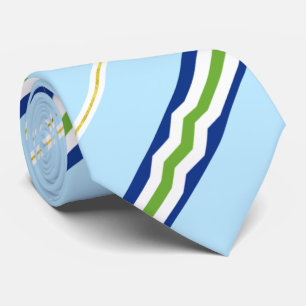 Burlington (Vermont) city flag Neck Tie