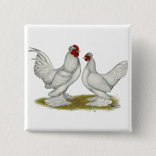 Burmese Bantams 15 Cm Square Badge