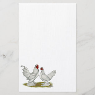 Burmese Bantams Stationery