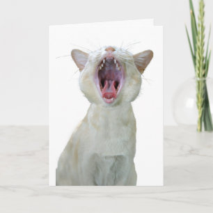 Burmese cat birthday card