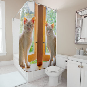 Burmese cats Kate and Bobby cat shower curtain