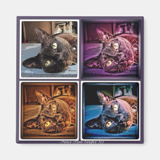 Burmese Cubed Magnet