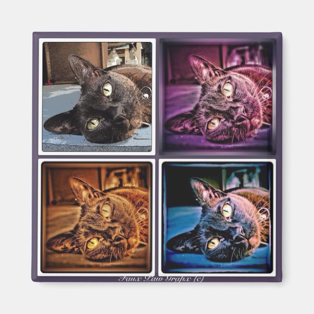 Burmese Cubed Magnet (Front)