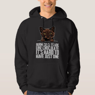 Burmese kitten  Burmese mom  Burmese dad  1 Hoodie