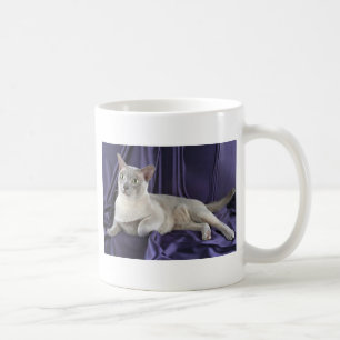 Burmese, lilac coffee mug