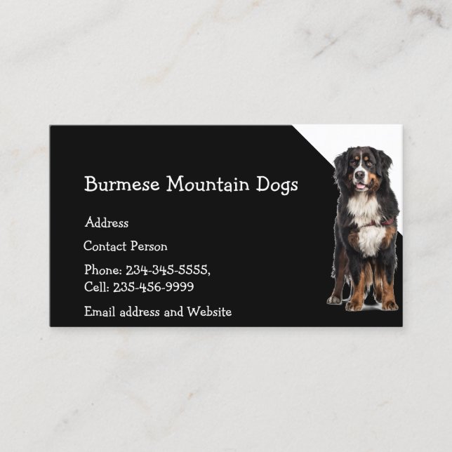 Burmese Mountain Dogs Breeder Pet Sitter  Business Card (Front)