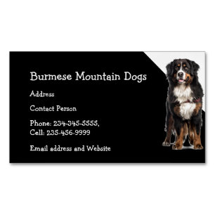 Burmese Mountain Dogs Breeder Pet Sitter  Business Magnetic Business Card