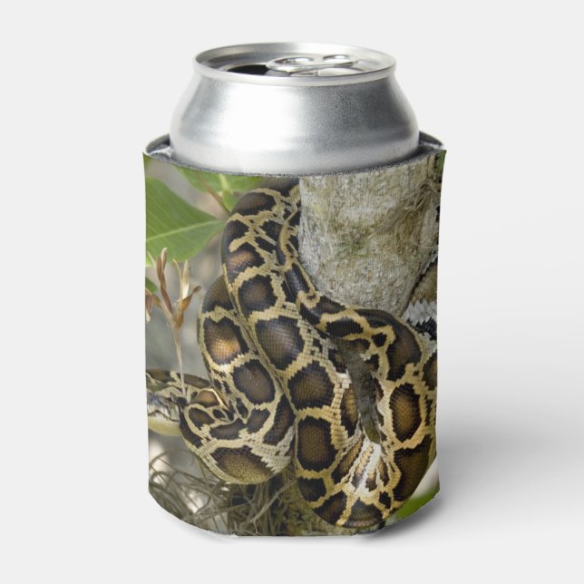 Burmese Python Can Cooler (Can Front)