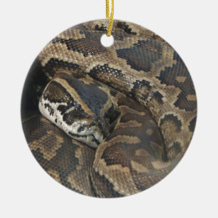 Burmese Python Ceramic Tree Decoration