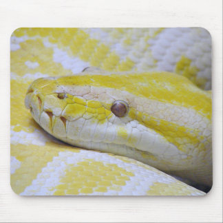 Burmese python mouse mat