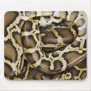 Burmese python mouse mat