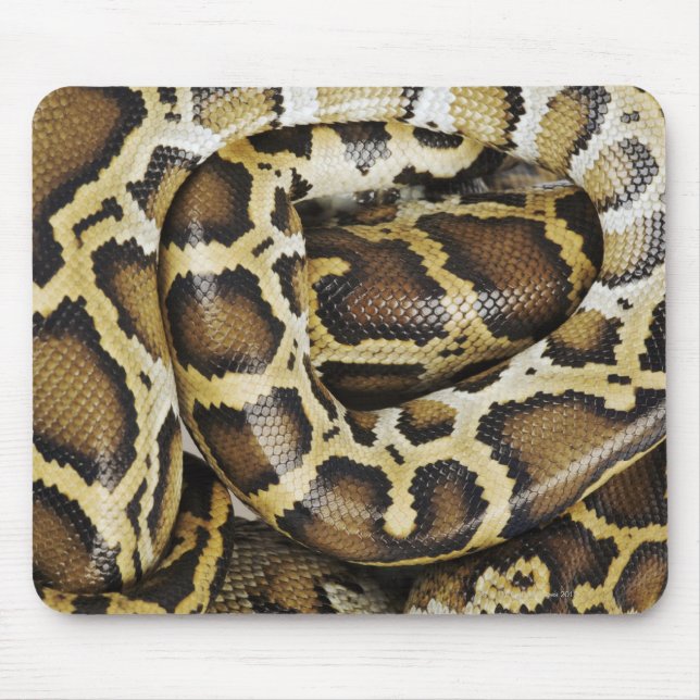 Burmese python mouse mat (Front)
