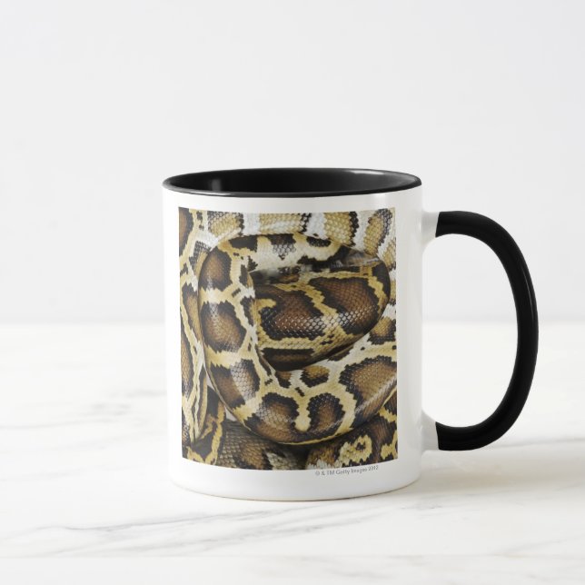 Burmese python mug (Right)