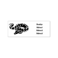 Burmese python snake cartoon illustration