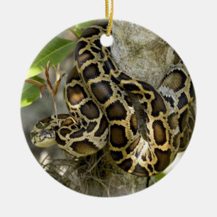 Burmese Python Snake in a tree Ceramic Tree Decoration