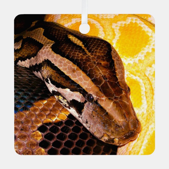 Burmese Python Snake Metal Tree Decoration (Front)