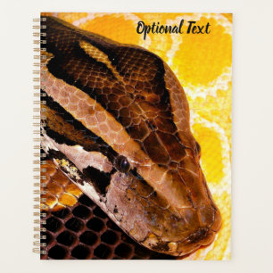 Burmese Python Snake Planner