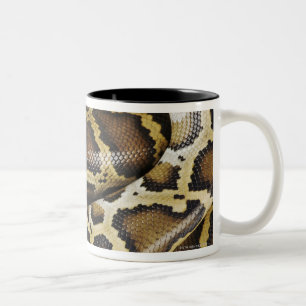 Burmese python Two-Tone coffee mug
