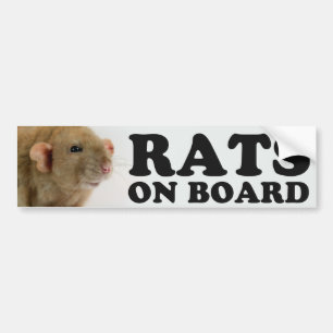 (Burmese) Rats on board Bumper Sticker