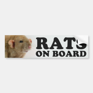 (Burmese) Rats on board Bumper Sticker