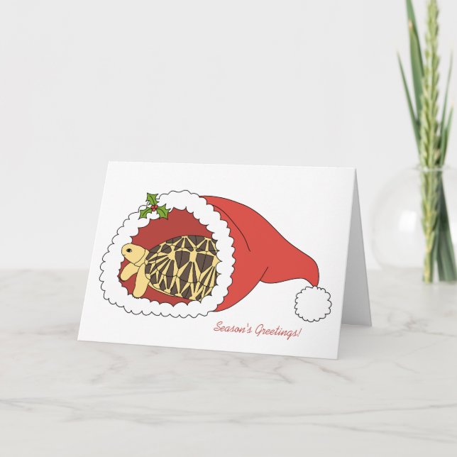 Burmese Star Tortoise Christmas Card (santa hat) (Front)